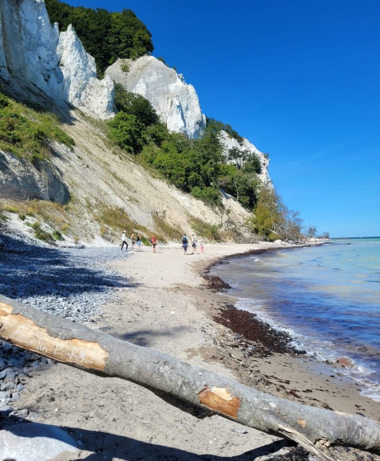 Familientherapie Mutter mit zwei Kindern läuft einen Waldweg entlang in einem Schwarzweiß-Foto