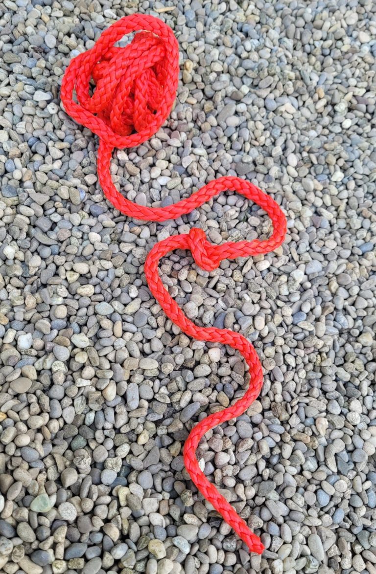 Roter Faden Ein rotes Fadenknäuel, das sich nach unten entwickelt